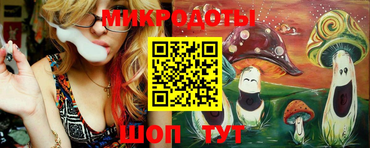 Псилоцибиновые грибы Cubensis Зеленодольск