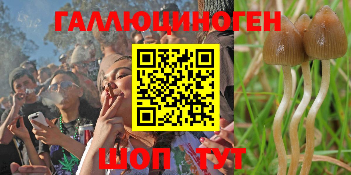 Псилоцибиновые грибы MAGIC MUSHROOMS  Псилоцибиновые грибы Cubensis  Вход с VPN  Зеленодольск 